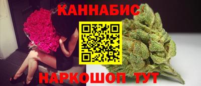 2c-b Кингисепп