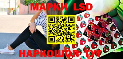 2c-b Кингисепп