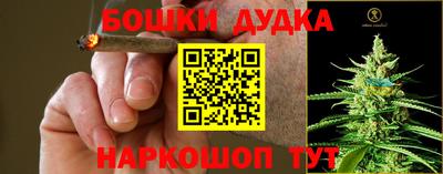 бошки Кинель