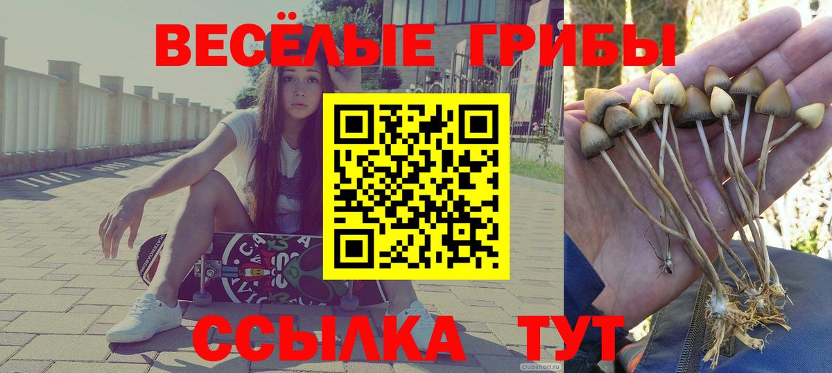 Псилоцибиновые грибы ЛСД  Галлюциногенные грибы Psilocybe  Королёв  Вход с VPN 